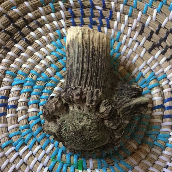 Mother Nature elk antler piece art decor primitive rustic garden craft - Picture 2 of 5